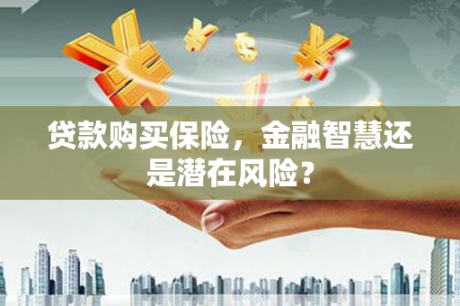 乾安贷款购买保险，金融智慧还是潜在风险？