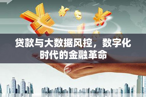 乾安贷款与大数据风控，数字化时代的金融革命