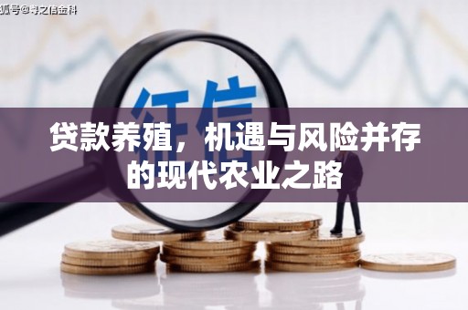 乾安贷款养殖，机遇与风险并存的现代农业之路