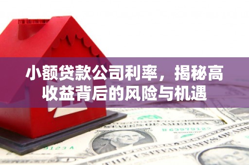 乾安小额贷款公司利率，揭秘高收益背后的风险与机遇