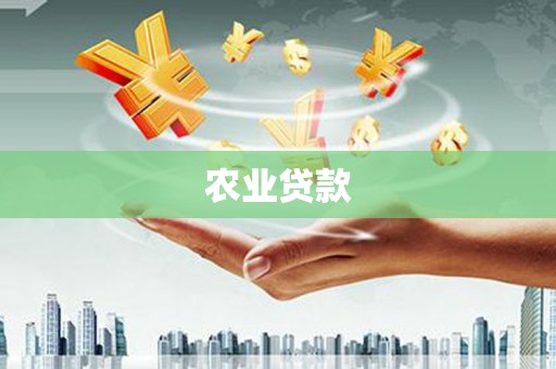 乾安农业贷款