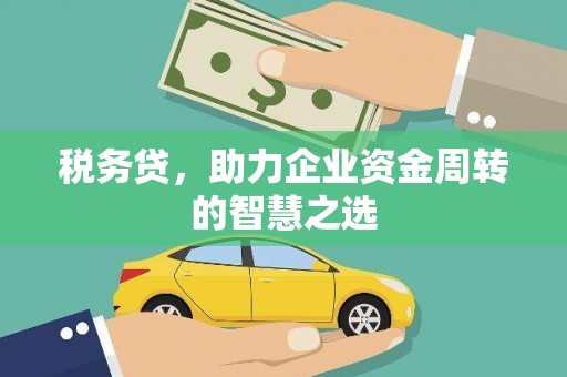 乾安税务贷，助力企业资金周转的智慧之选