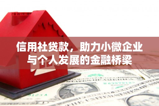 乾安信用社贷款，助力小微企业与个人发展的金融桥梁