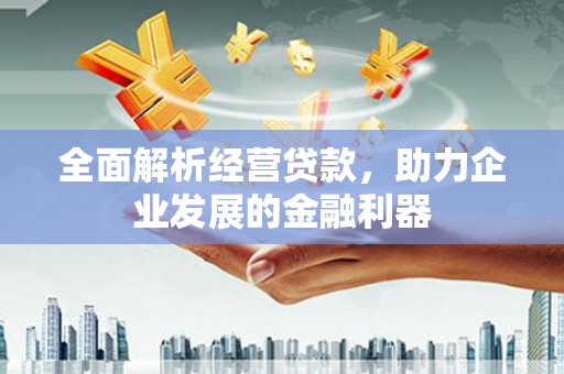 乾安全面解析经营贷款，助力企业发展的金融利器