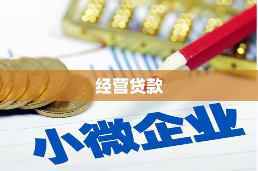 乾安经营贷款
