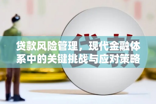 乾安贷款风险管理，现代金融体系中的关键挑战与应对策略