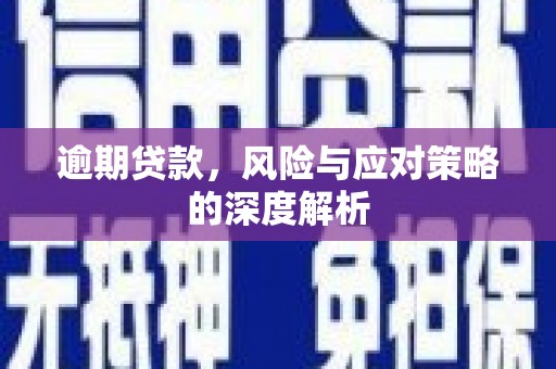 乾安逾期贷款，风险与应对策略的深度解析