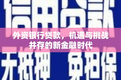 乾安外资银行贷款，机遇与挑战并存的新金融时代