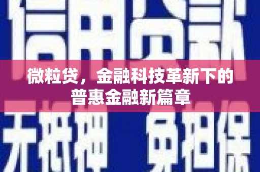 乾安微粒贷，金融科技革新下的普惠金融新篇章