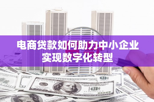 乾安电商贷款如何助力中小企业实现数字化转型