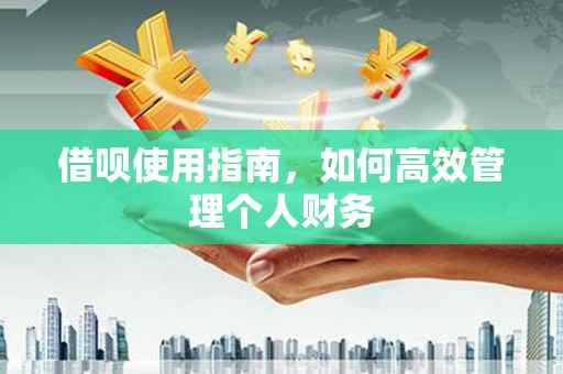 乾安借呗使用指南，如何高效管理个人财务
