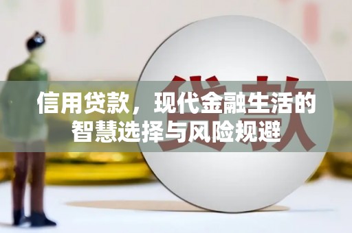 乾安信用贷款，现代金融生活的智慧选择与风险规避