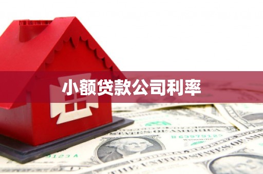 乾安小额贷款公司利率