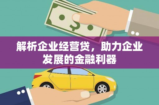 乾安解析企业经营贷，助力企业发展的金融利器