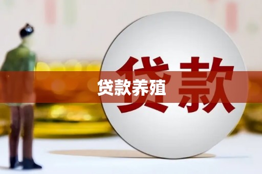 乾安贷款养殖