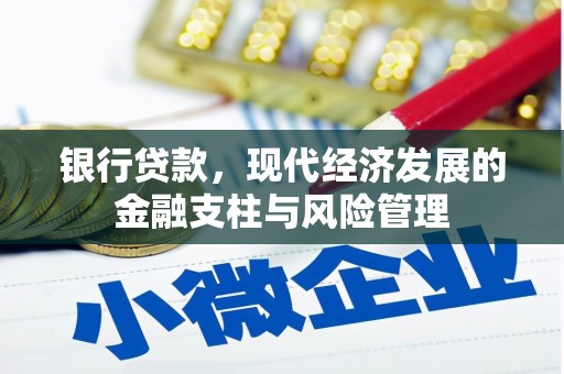 乾安银行贷款，现代经济发展的金融支柱与风险管理