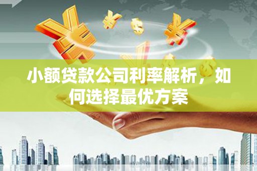 乾安小额贷款公司利率解析，如何选择最优方案