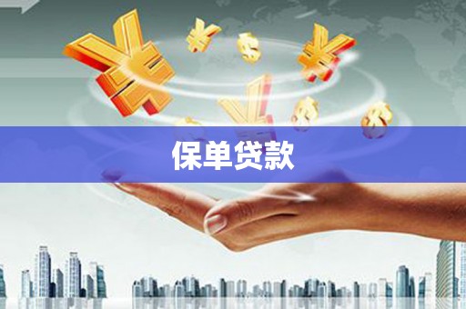 乾安保单贷款