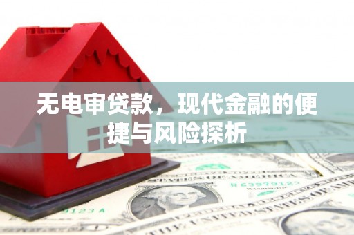 乾安无电审贷款，现代金融的便捷与风险探析