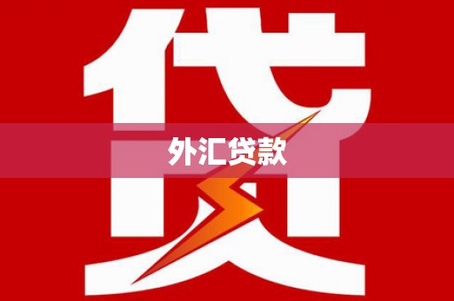 乾安外汇贷款