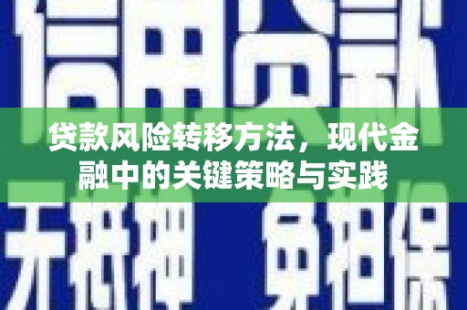 乾安贷款风险转移方法，现代金融中的关键策略与实践