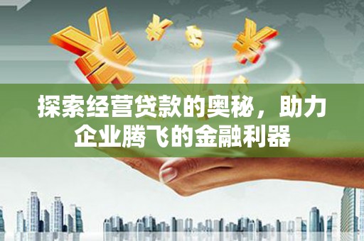 乾安探索经营贷款的奥秘，助力企业腾飞的金融利器