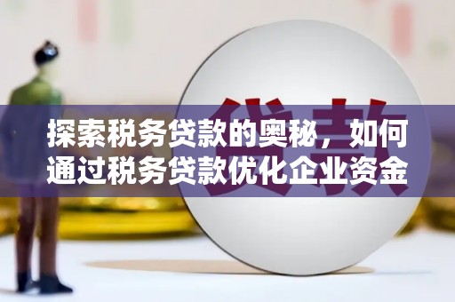 乾安探索税务贷款的奥秘，如何通过税务贷款优化企业资金流