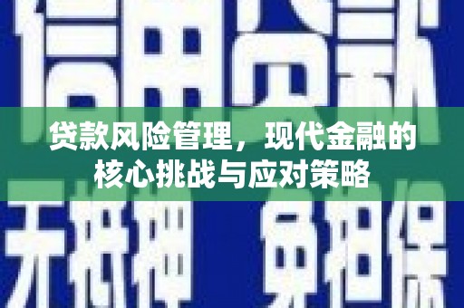乾安贷款风险管理，现代金融的核心挑战与应对策略