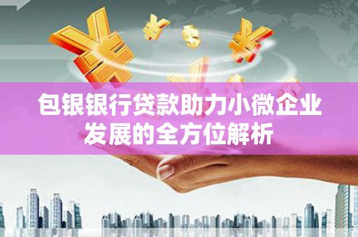 乾安包银银行贷款助力小微企业发展的全方位解析