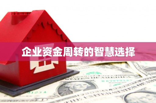 乾安企业资金周转的智慧选择