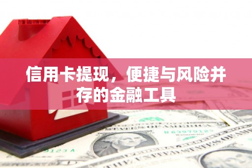 乾安信用卡提现，便捷与风险并存的金融工具