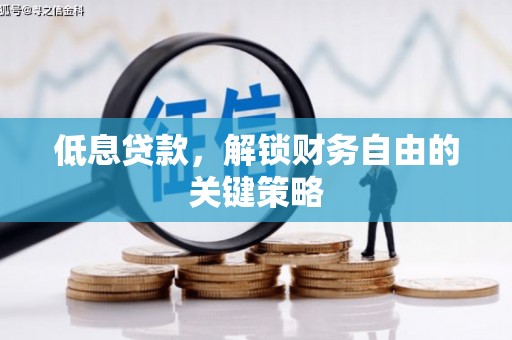 乾安低息贷款，解锁财务自由的关键策略