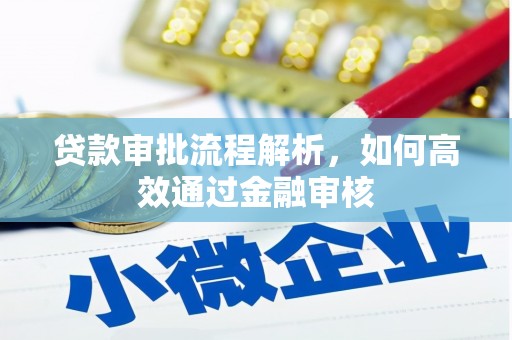 乾安贷款审批流程解析，如何高效通过金融审核