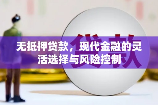 乾安无抵押贷款，现代金融的灵活选择与风险控制