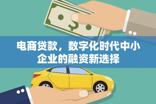 乾安电商贷款，数字化时代中小企业的融资新选择