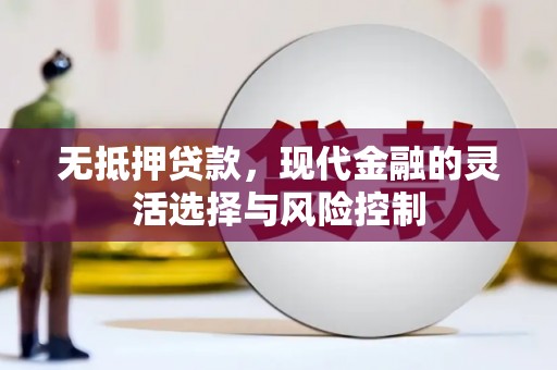 乾安无抵押贷款，现代金融的灵活选择与风险控制
