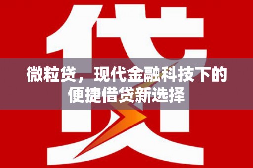 乾安微粒贷，现代金融科技下的便捷借贷新选择