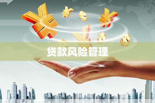 乾安贷款风险管理