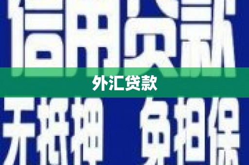 乾安外汇贷款