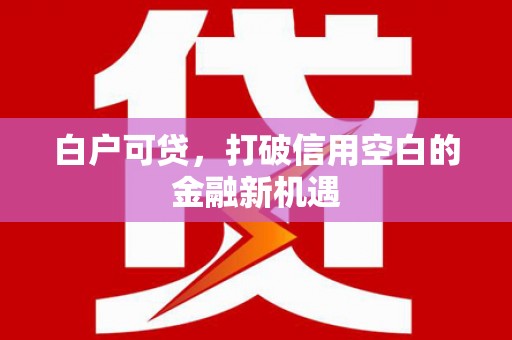乾安白户可贷，打破信用空白的金融新机遇