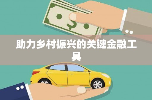 乾安助力乡村振兴的关键金融工具