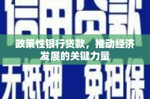 乾安政策性银行贷款，推动经济发展的关键力量