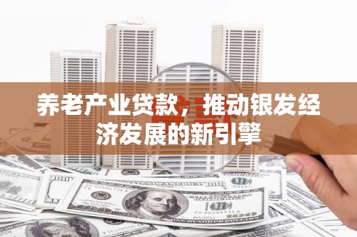 乾安养老产业贷款，推动银发经济发展的新引擎