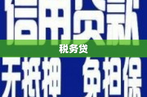 乾安税务贷
