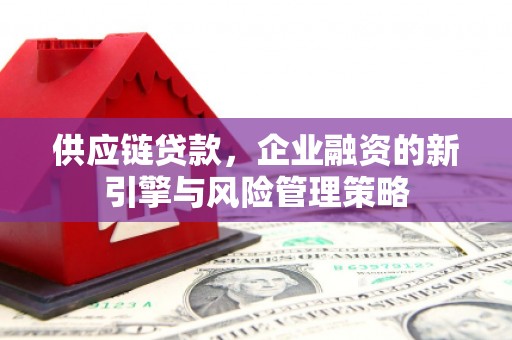 乾安供应链贷款，企业融资的新引擎与风险管理策略