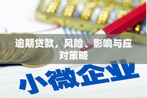 乾安逾期贷款，风险、影响与应对策略