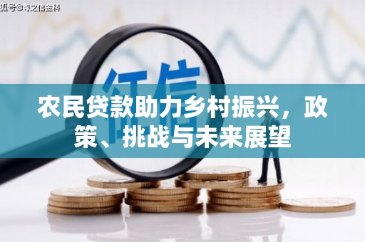 乾安农民贷款助力乡村振兴，政策、挑战与未来展望