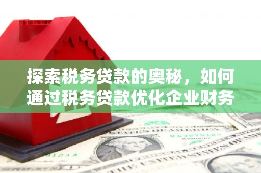 乾安探索税务贷款的奥秘，如何通过税务贷款优化企业财务