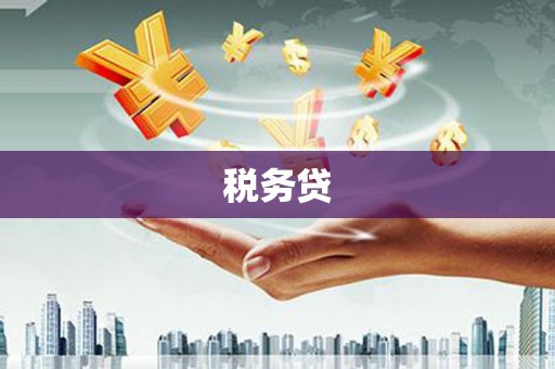 乾安税务贷