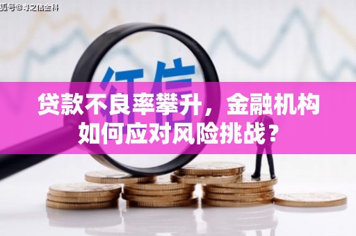乾安贷款不良率攀升，金融机构如何应对风险挑战？